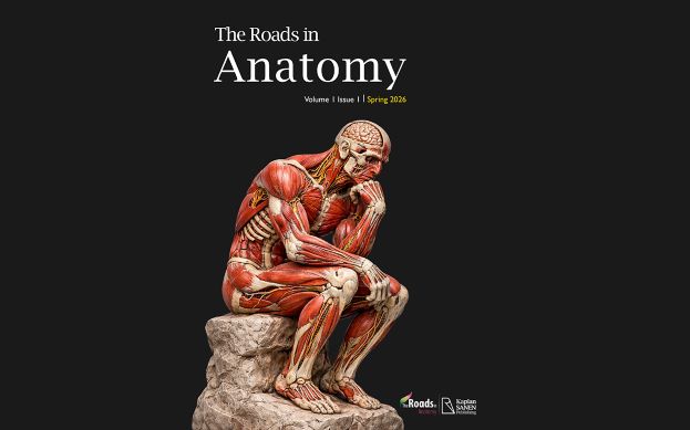 The Roads in Anatomy